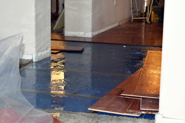 Professional Basement Flood Cleanup technician working in Wedowee, AL